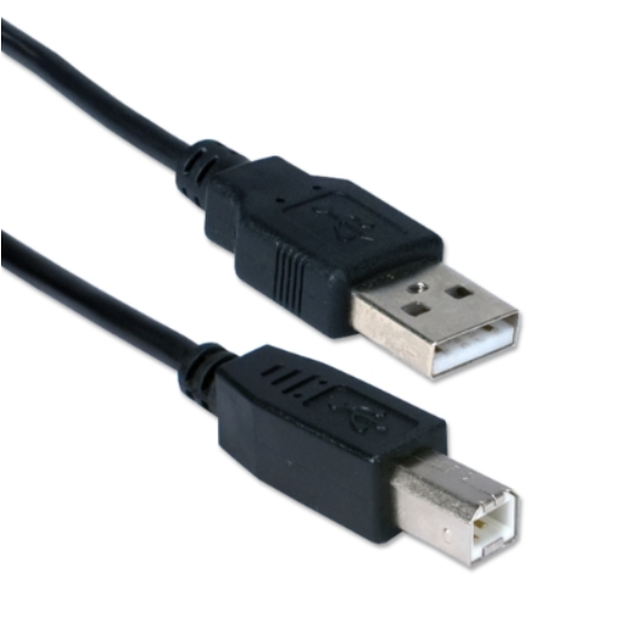 QVS USB 2.0 High-Speed Type A Male to B Male Black Cable - CC2209C-03